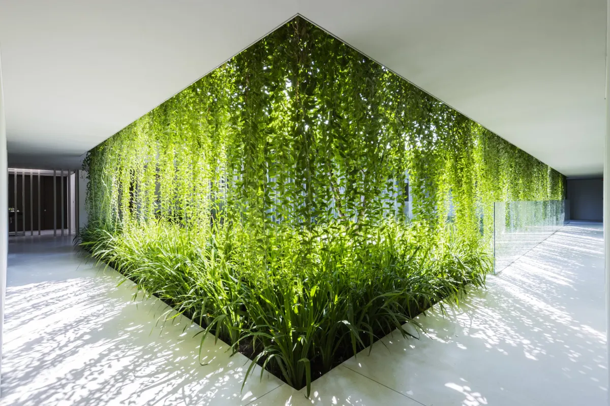 TDX II: Under The Sun - Architectural Exhibition 2024