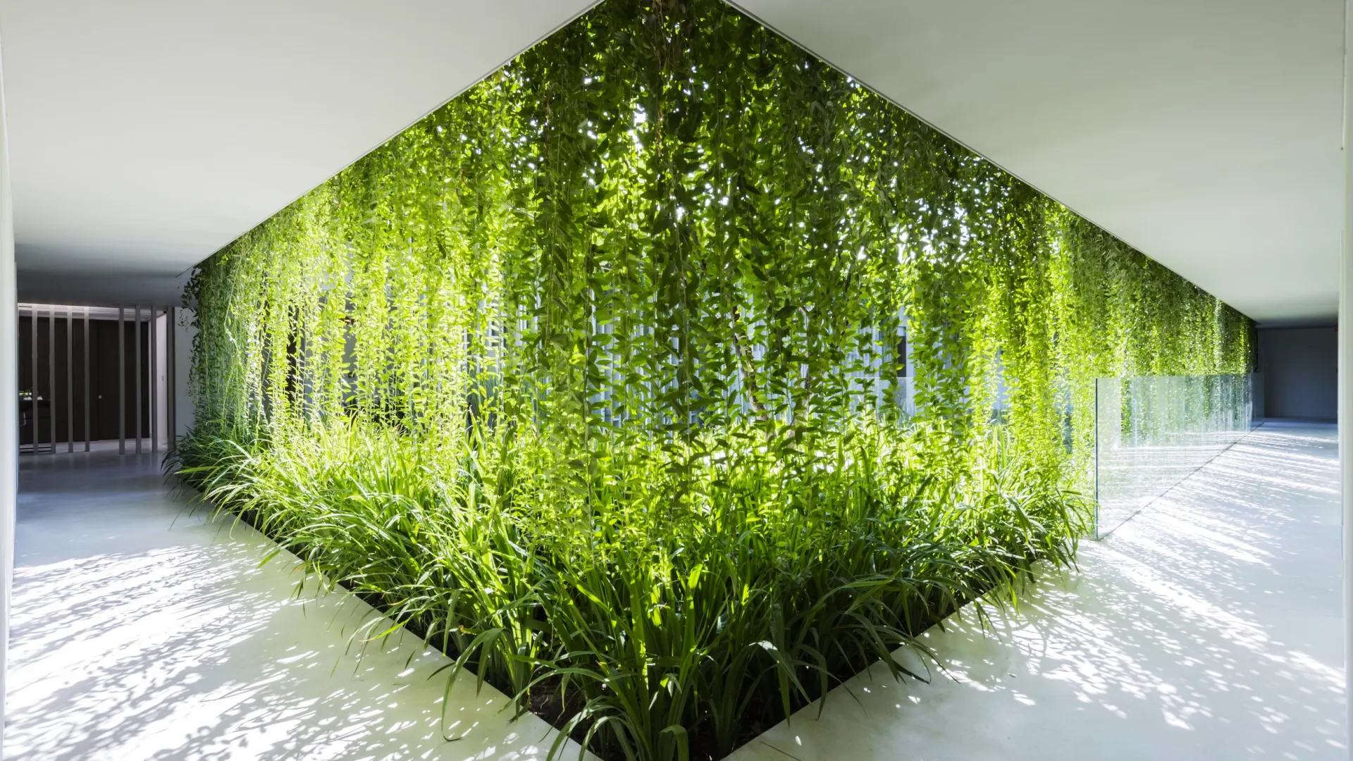 Local Plants & Hanging Gardens Sanctuary