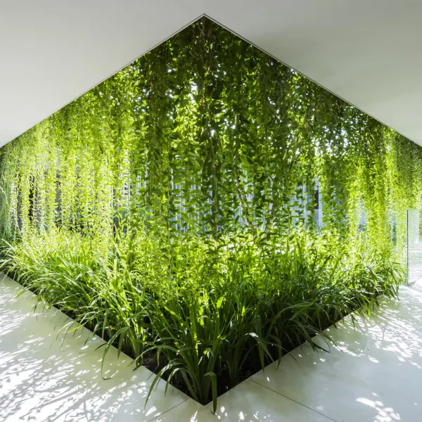 Long An Riverfront Eco House