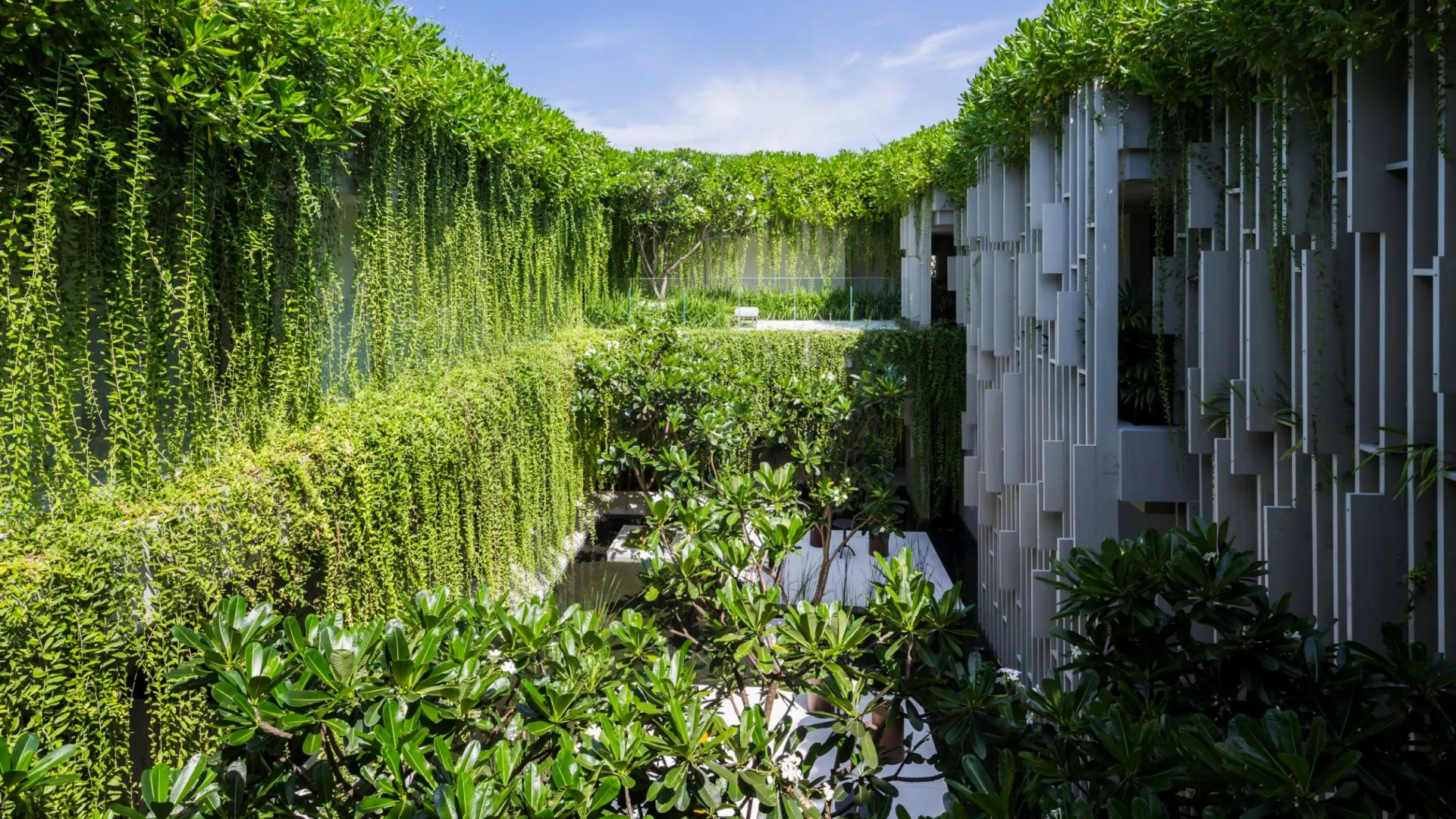 Smoothly Flowing Corridor House