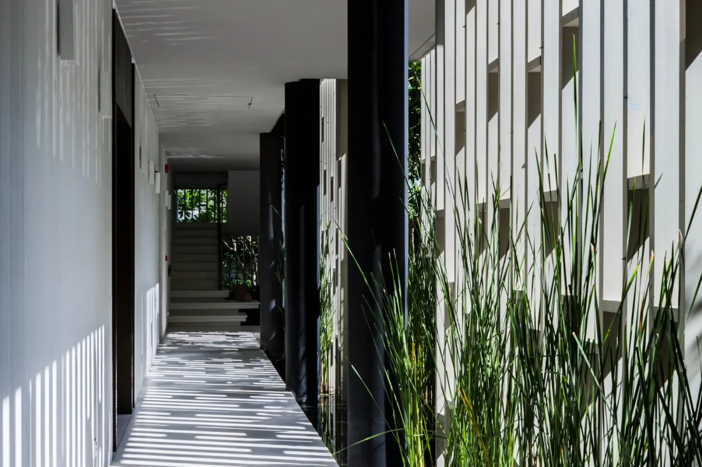 Tropical Eco Residence Gallery Detail