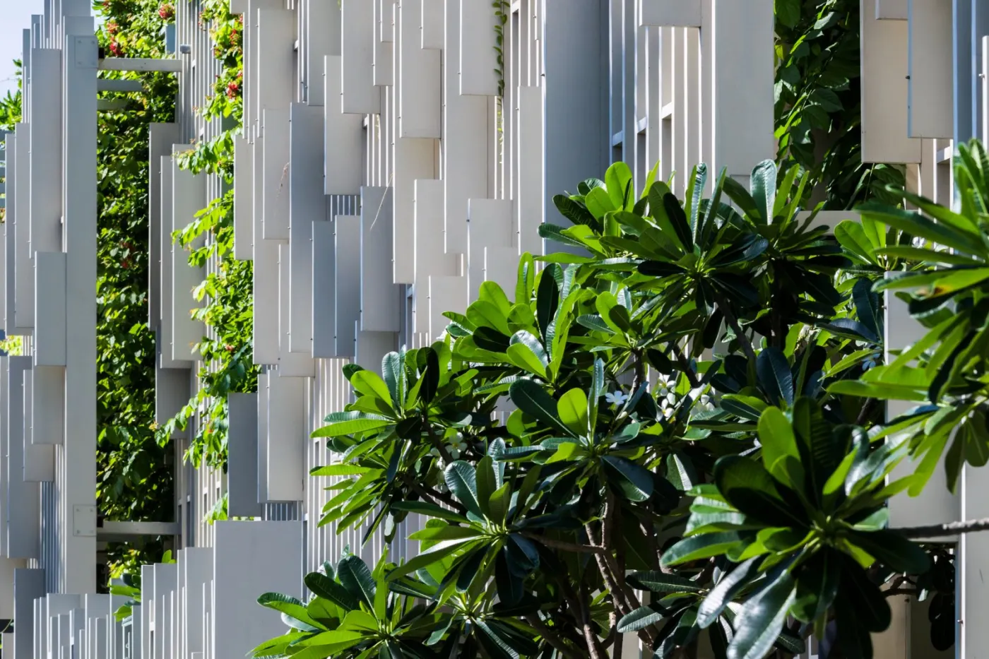 Shadow Interplay Brick Residence Gallery Detail