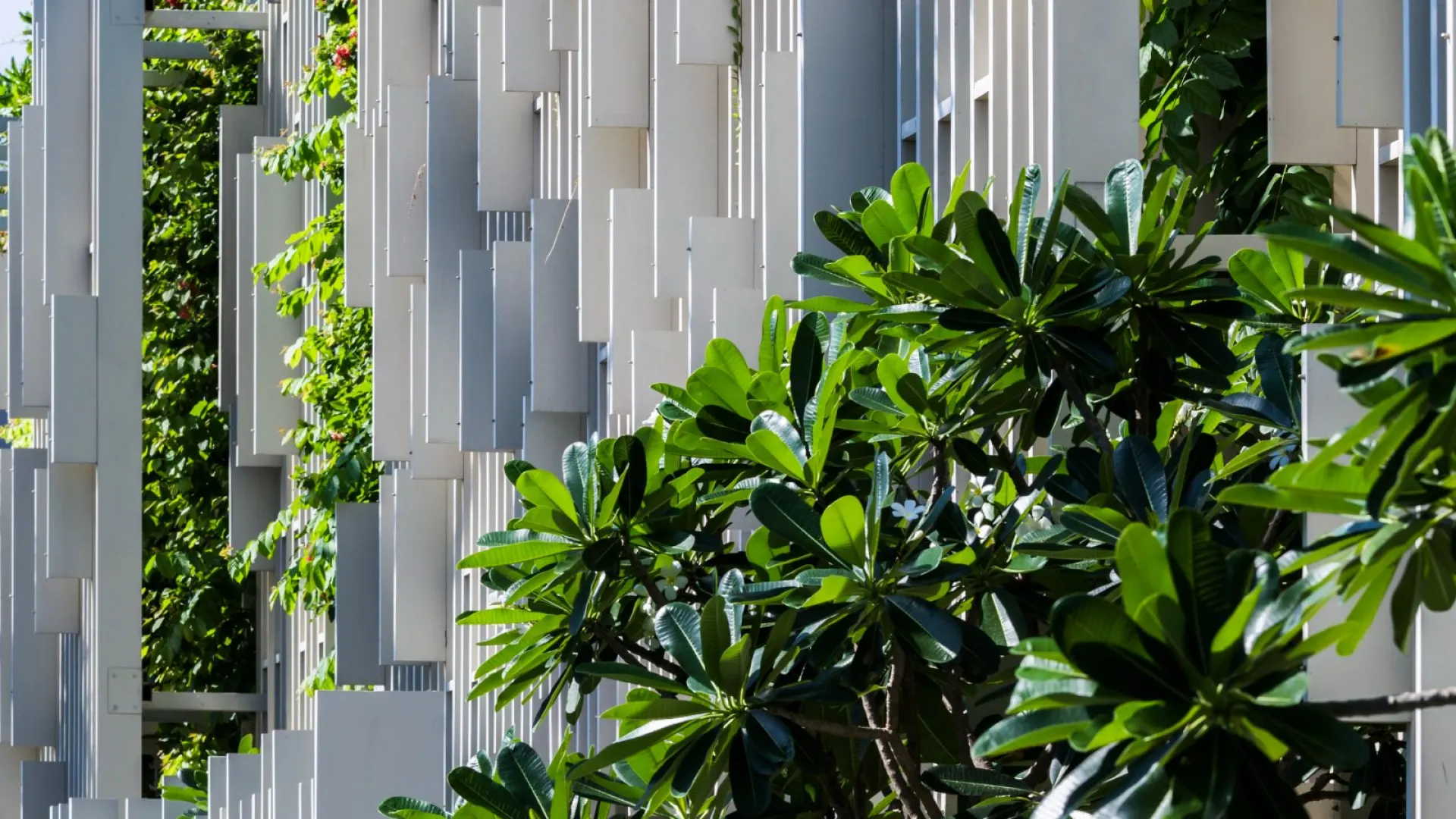Vertical Hanging Vegetation Wall